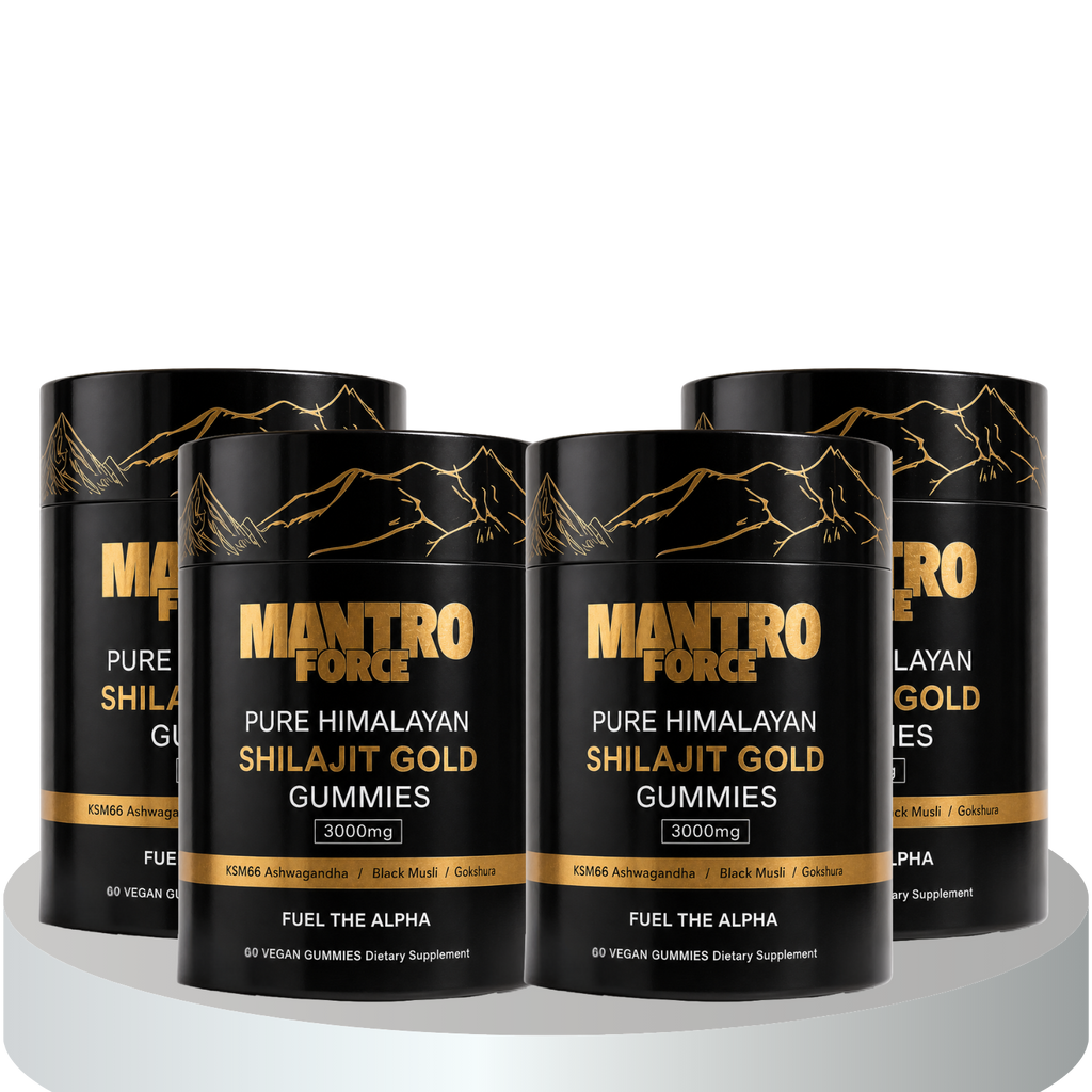 Pure Himalayan Shilajit Gummies Supplement