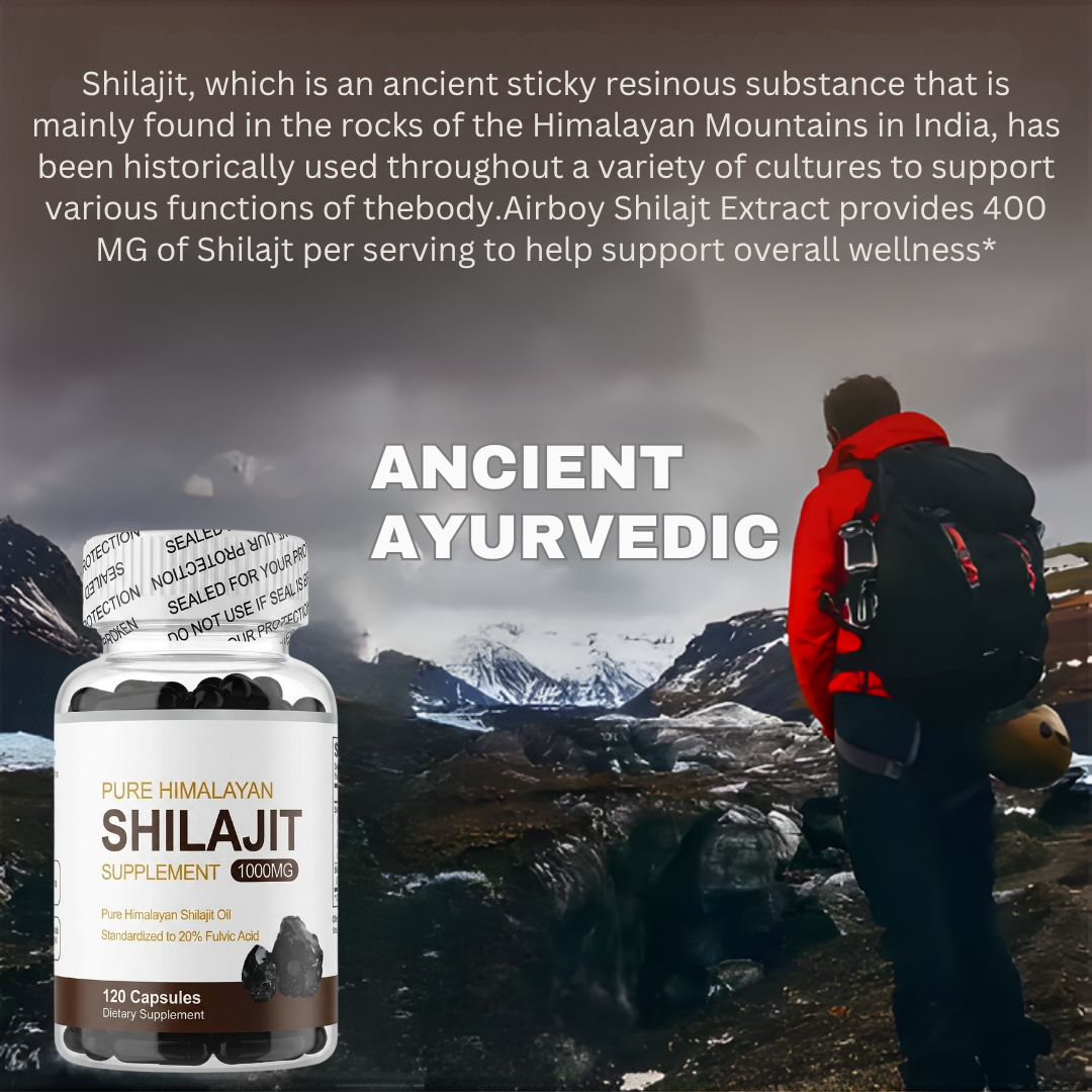 Shilajit Ginseng Stamina Vitality Supplement