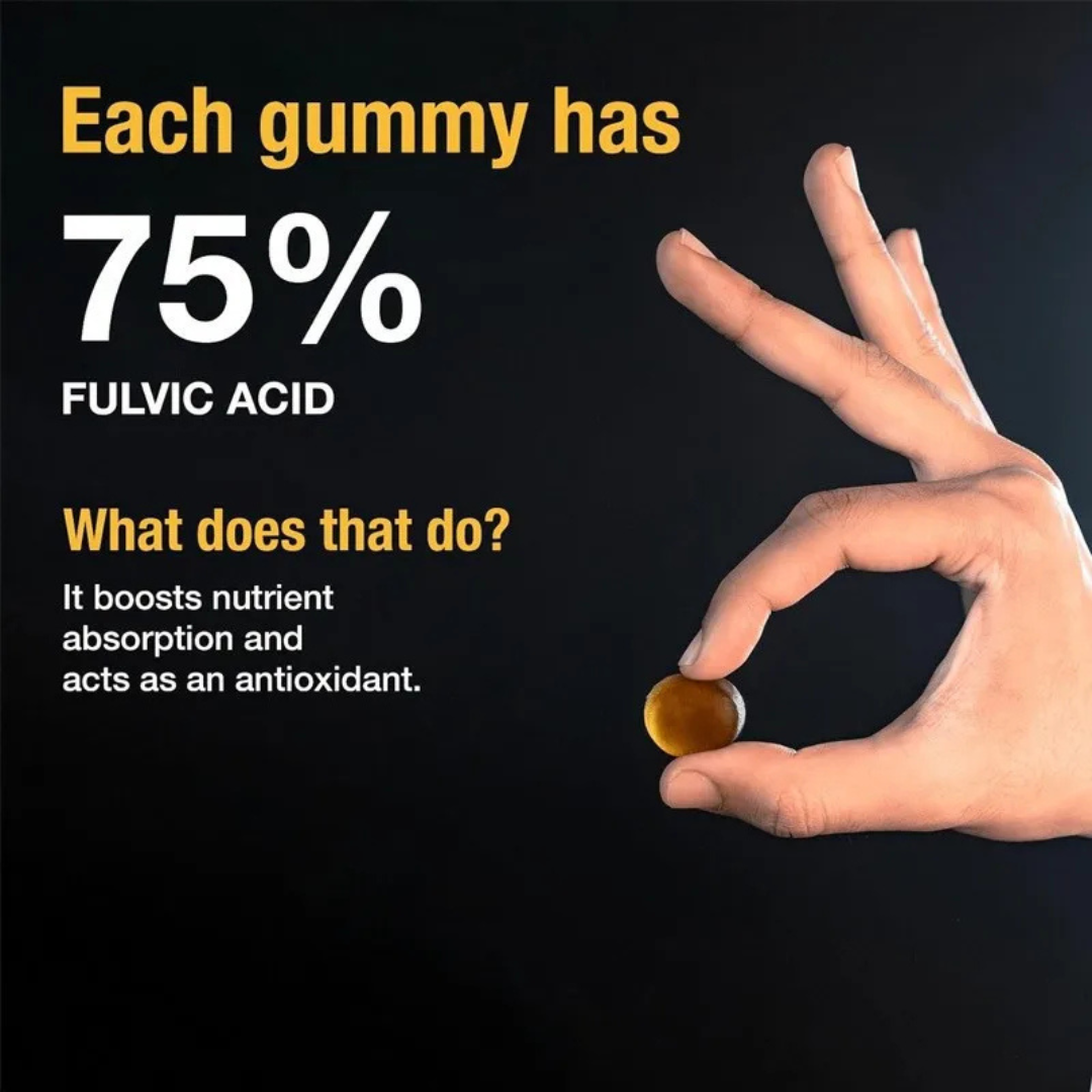 Pure Shilajit Vitality Gummies Supplement