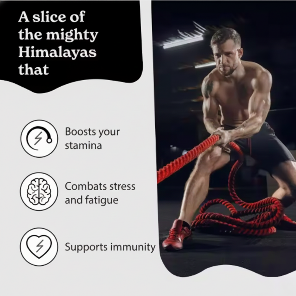 Pure Himalayan Shilajit Resin Vitality Supplement